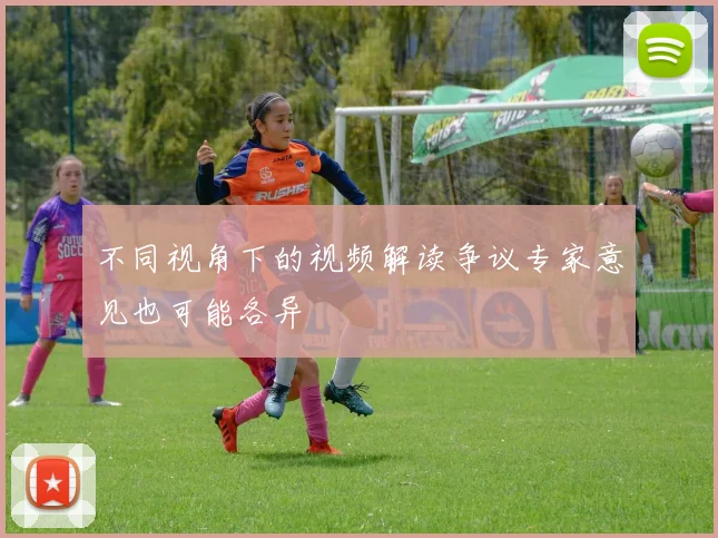 不同视角下的视频解读争议专家意见也可能各异